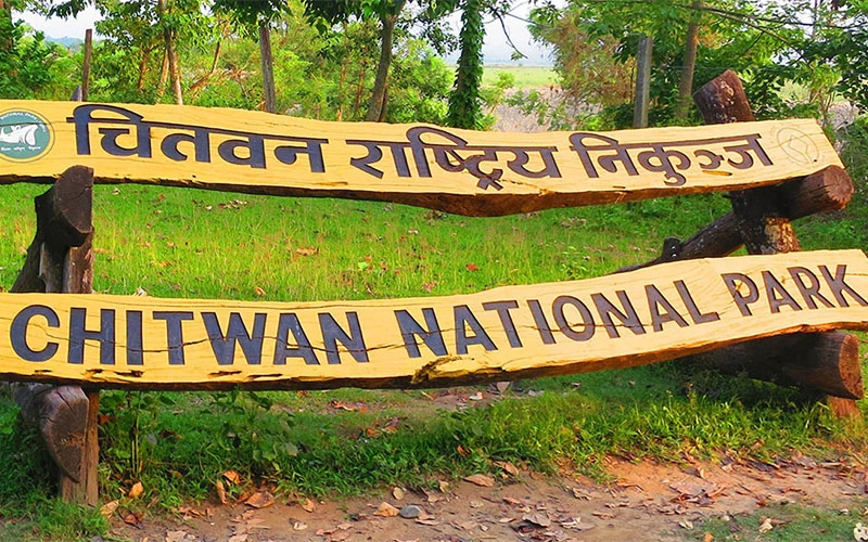 chitwan