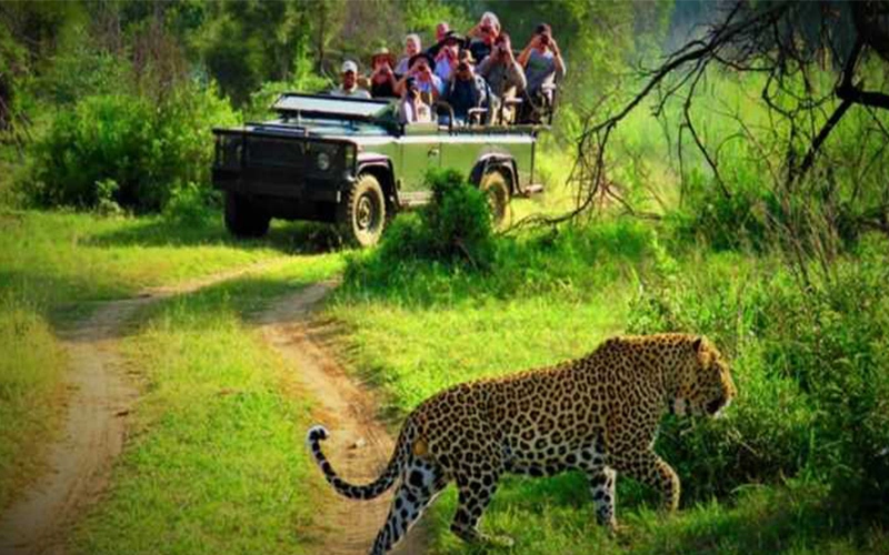 chitwan_national_park